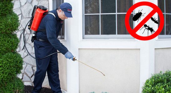 Sultanhisar Kene İlaçlama böcek ilaçlama ve haşere kontrolü — ilaclama-tr.com